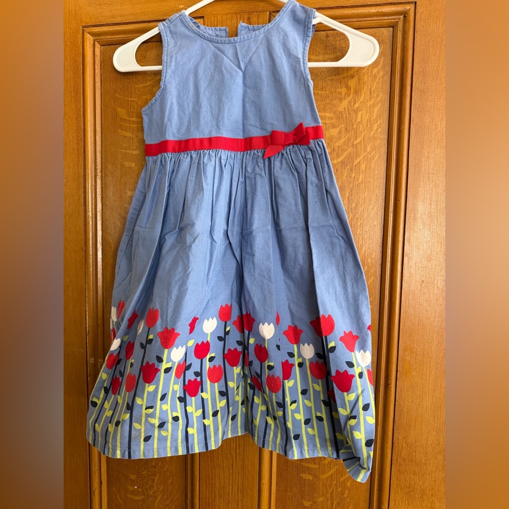 Gymboree Blue Dress with Floral Design